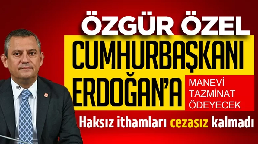 Özel, Cumhurbaşkanı Erdoğan'a manevi tazminat ödeyecek