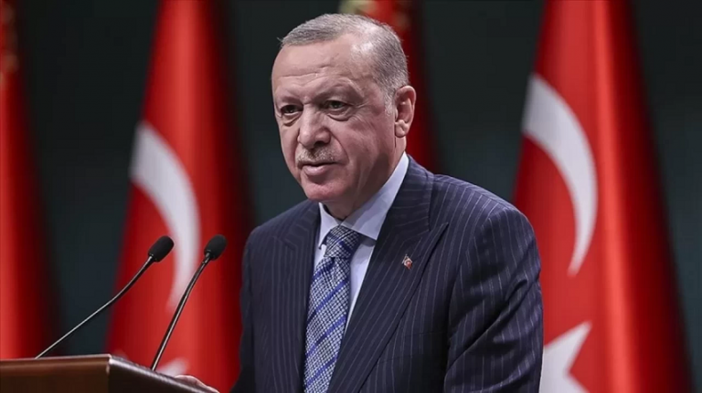 Cumhurbaşkanı Erdoğan Eline mikrofon alıp sokağa çıkan herkes gazeteci değildir